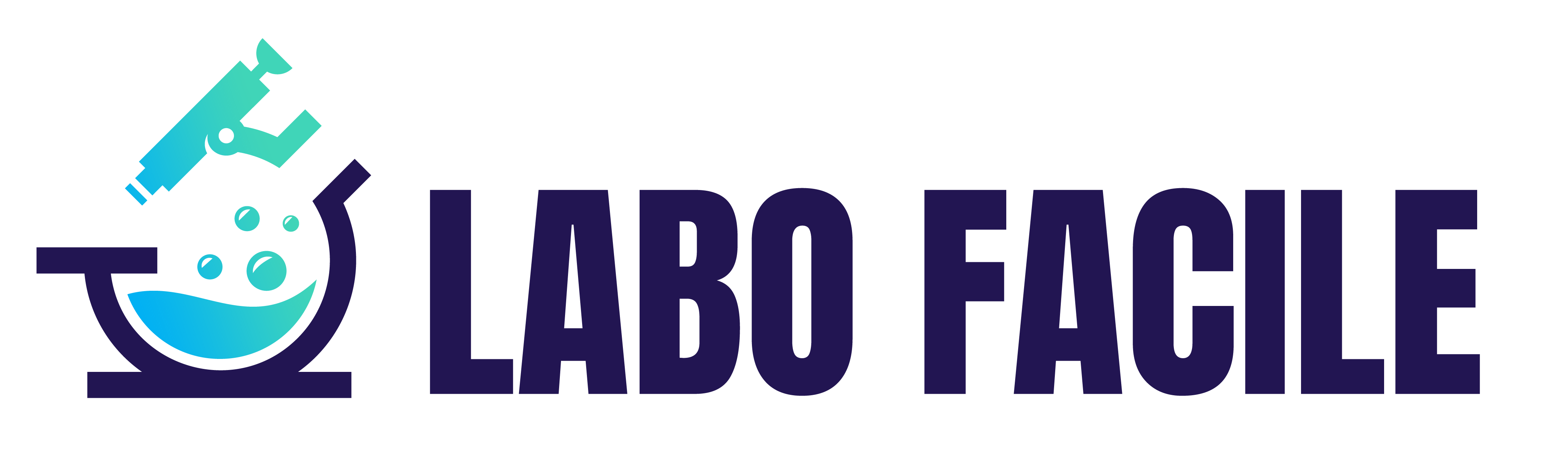 Labo Facile logo